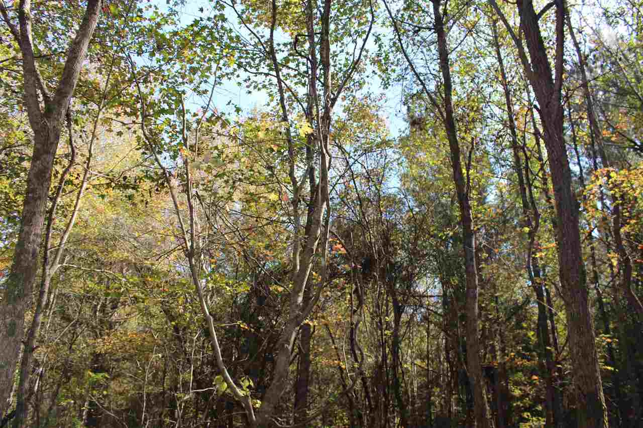0 Stewart Road French Camp, MS 39745 - Photo 17 of 17 Photo 17