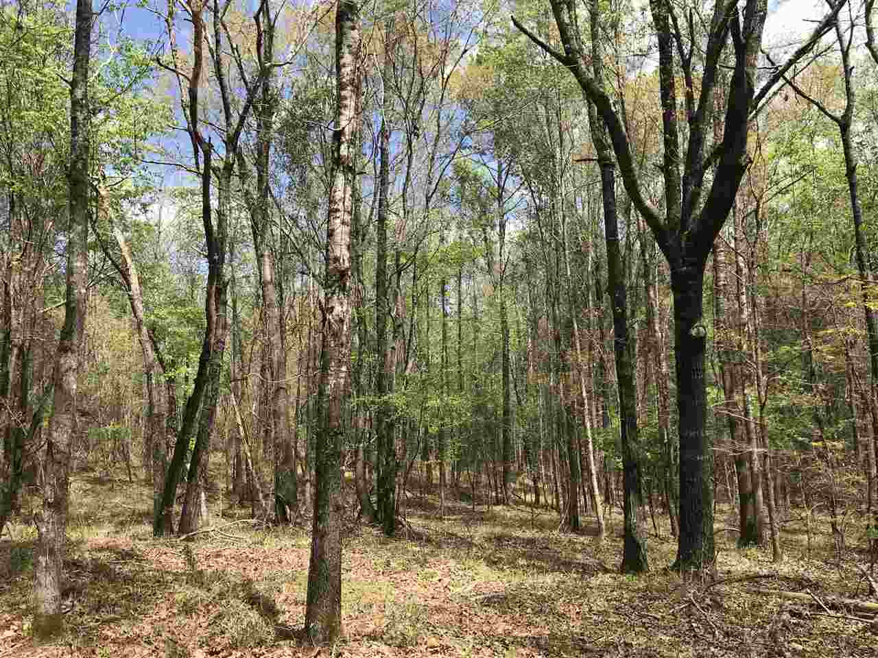 0 Stewart Road French Camp, MS 39745 - Photo 3 of 17 Photo 3