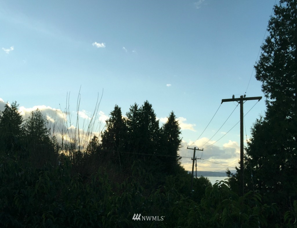 4334 Southwest Roxbury Street Seattle, WA 98136 - Photo 11 of 12