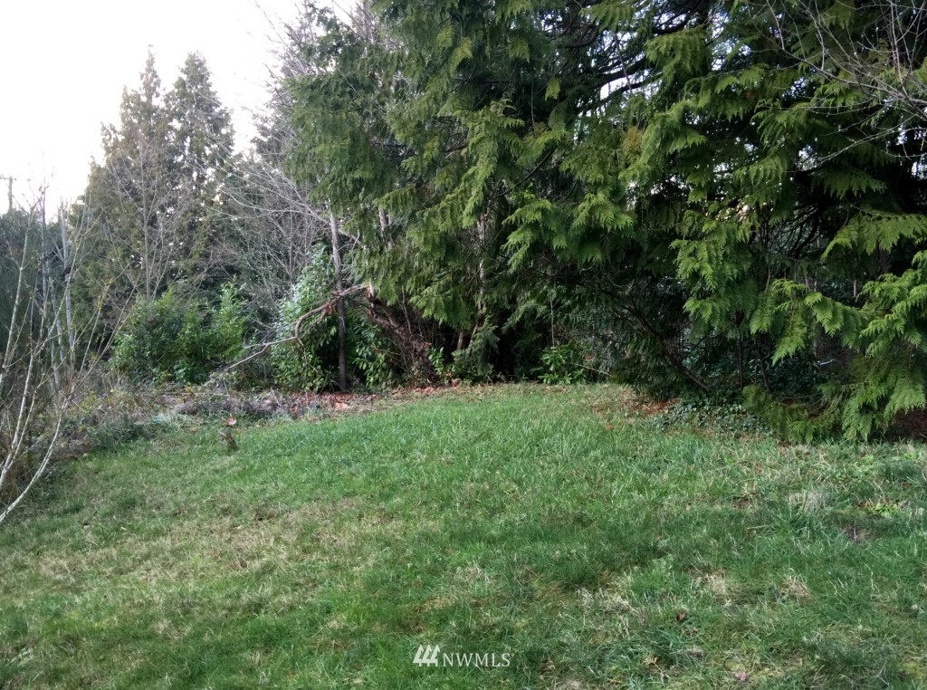 4334 Southwest Roxbury Street Seattle, WA 98136 - Photo 4 of 12
