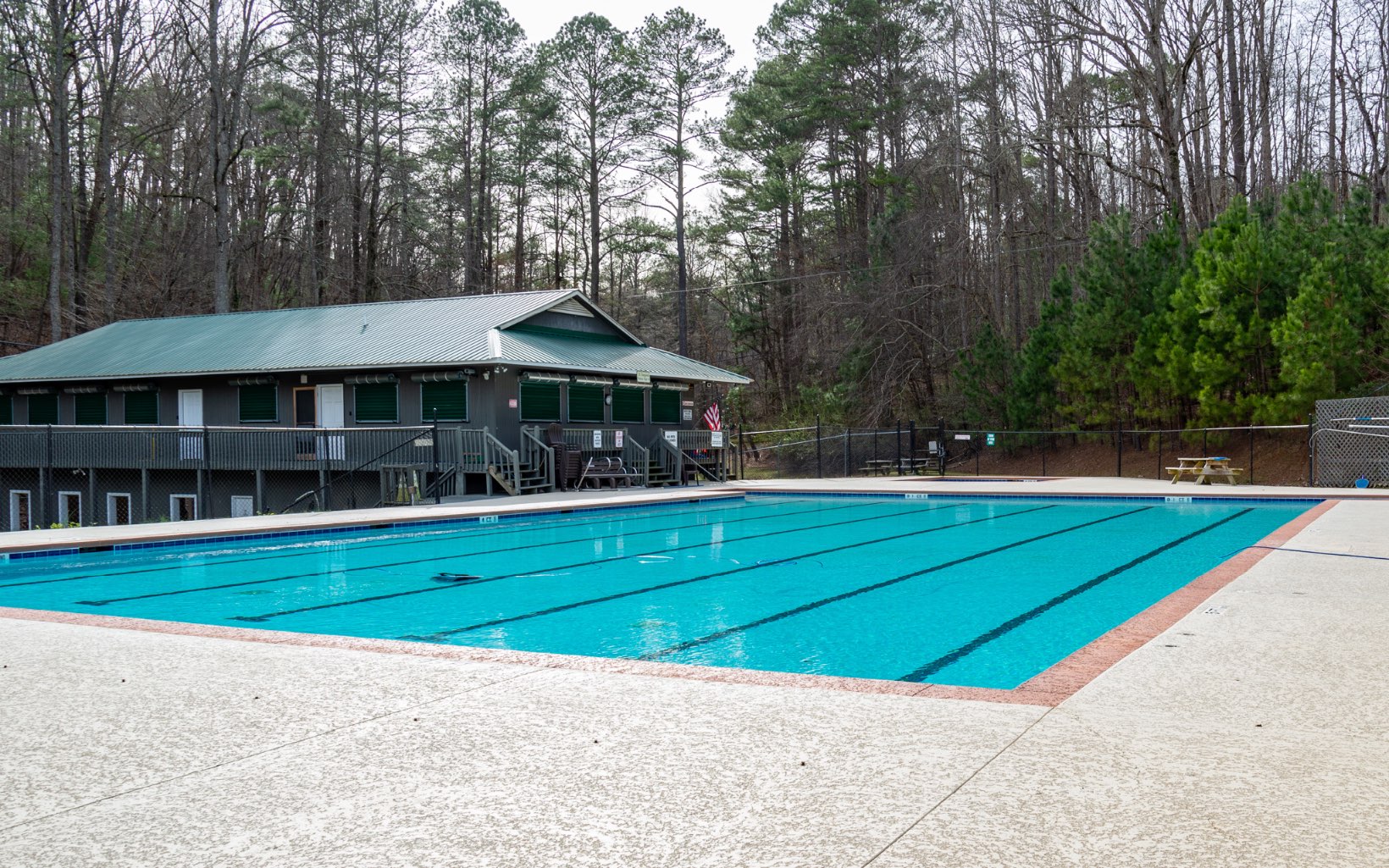 12 Rose Court Ellijay, GA 30540 - Photo 30 of 34 a view of swimming pool and trees in the background