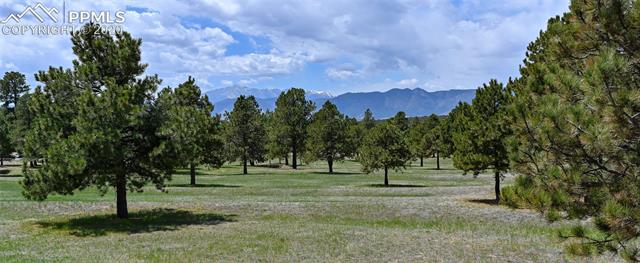Beautiful large, flat, treed lot with views of Pikes Peak