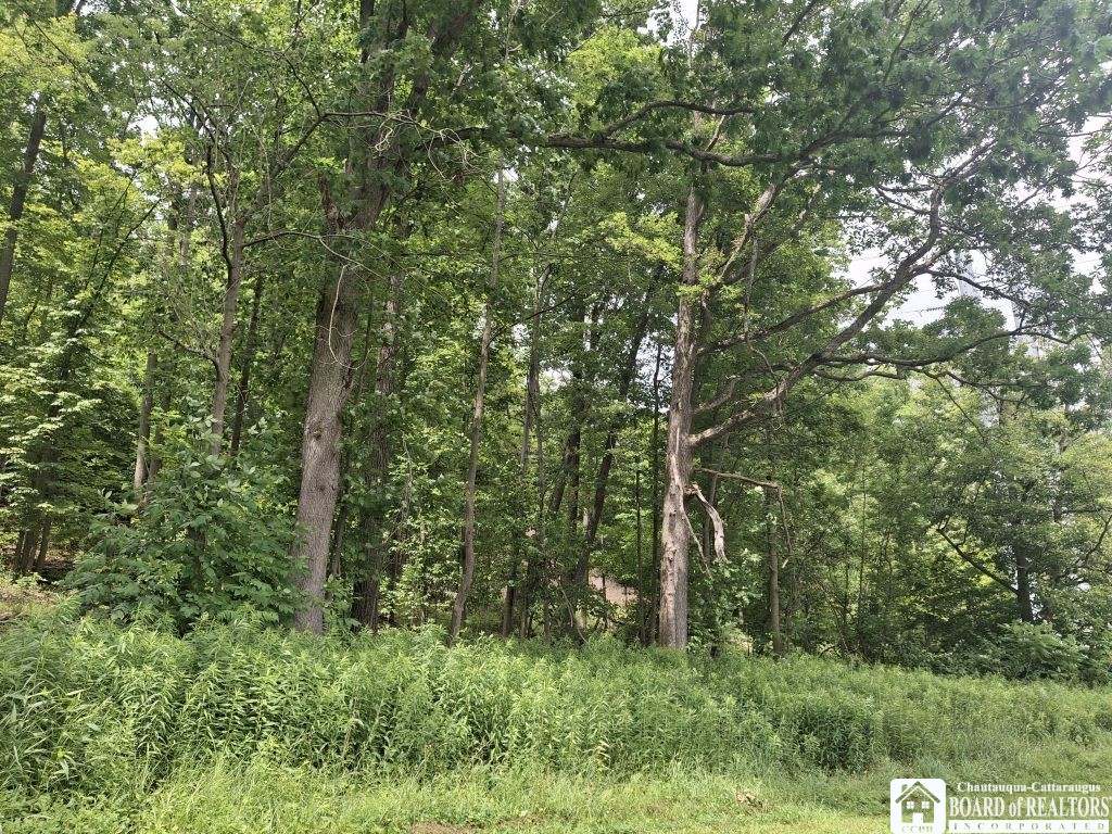 1898 Buffalo Street Olean, NY 14760 - Photo 33 of 34