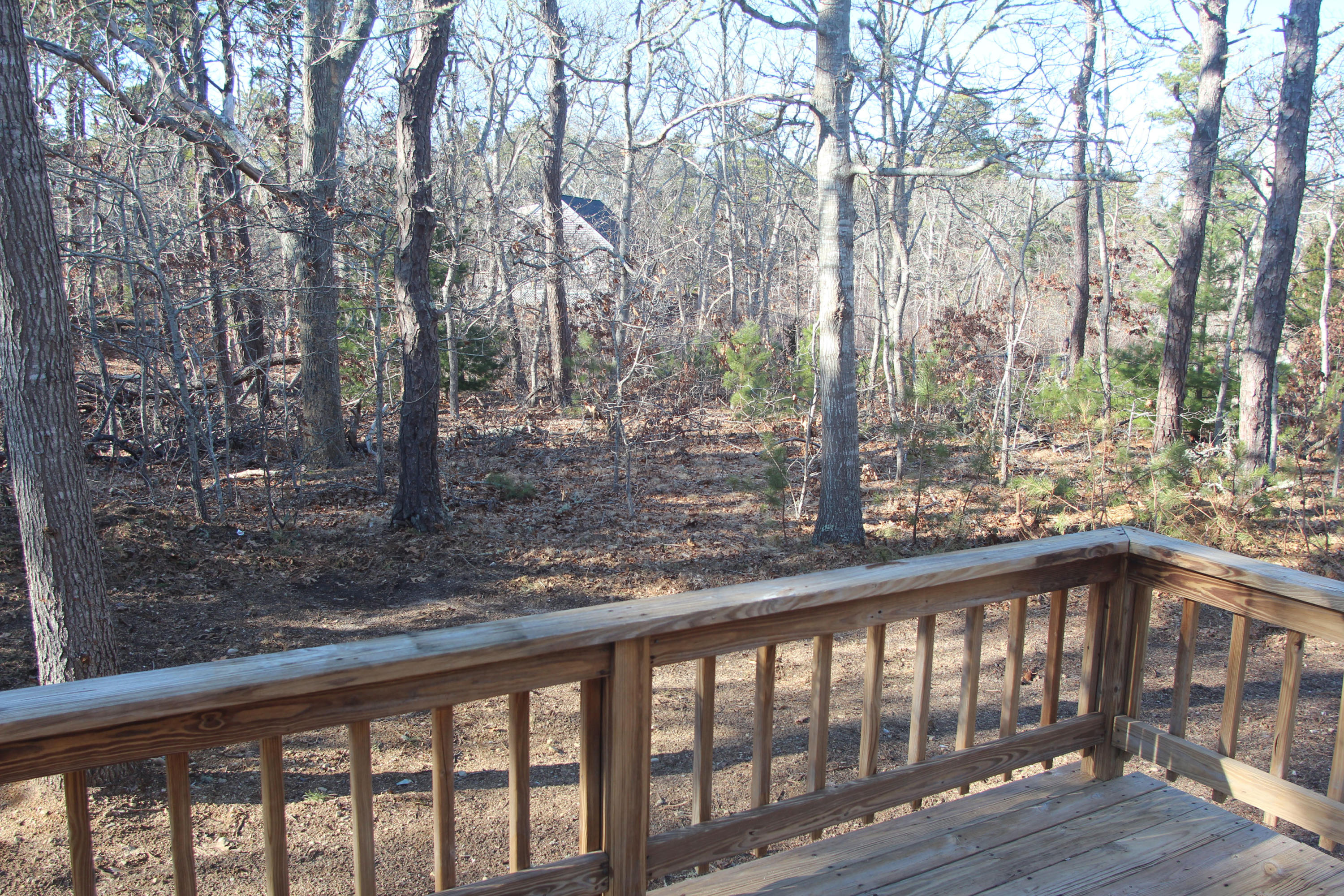 725 School House Road Eastham, MA 02642 - Photo 22 of 35 Private Back Yard