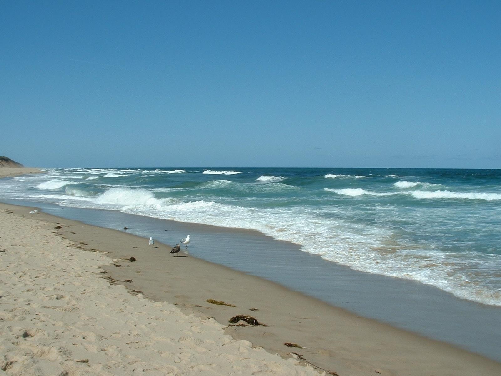 725 School House Road Eastham, MA 02642 - Photo 32 of 35 Nauset Light Beach
