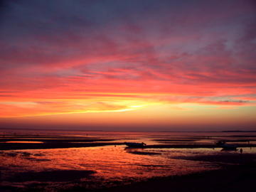 725 School House Road Eastham, MA 02642 - Photo 33 of 35 Low Tide Sunsets