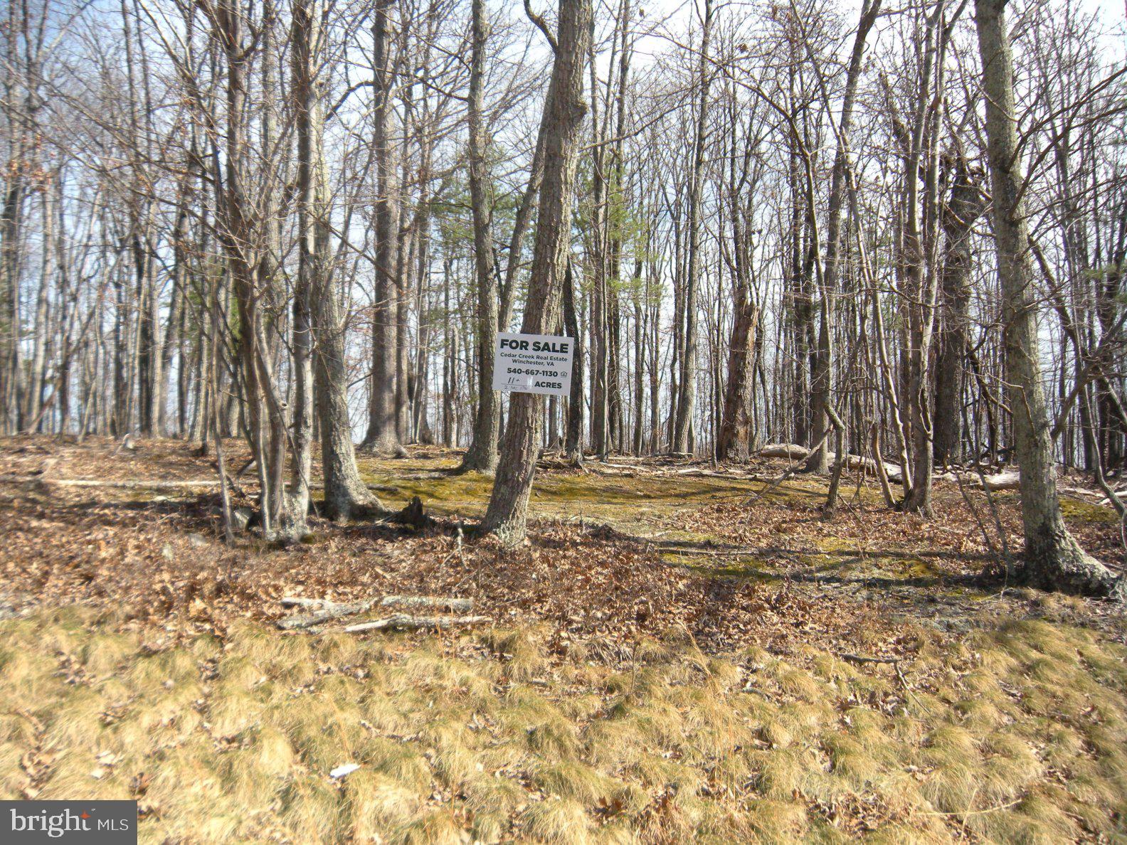 Lot # Knob Road Gore, VA 22637 - Photo 11 of 15