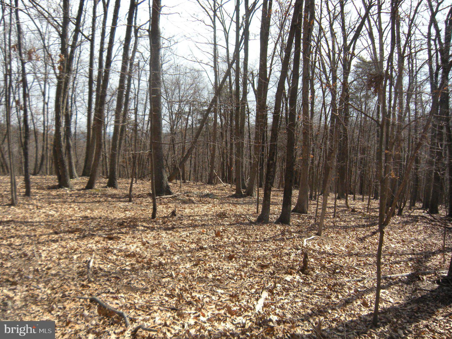 Lot # Knob Road Gore, VA 22637 - Photo 13 of 15