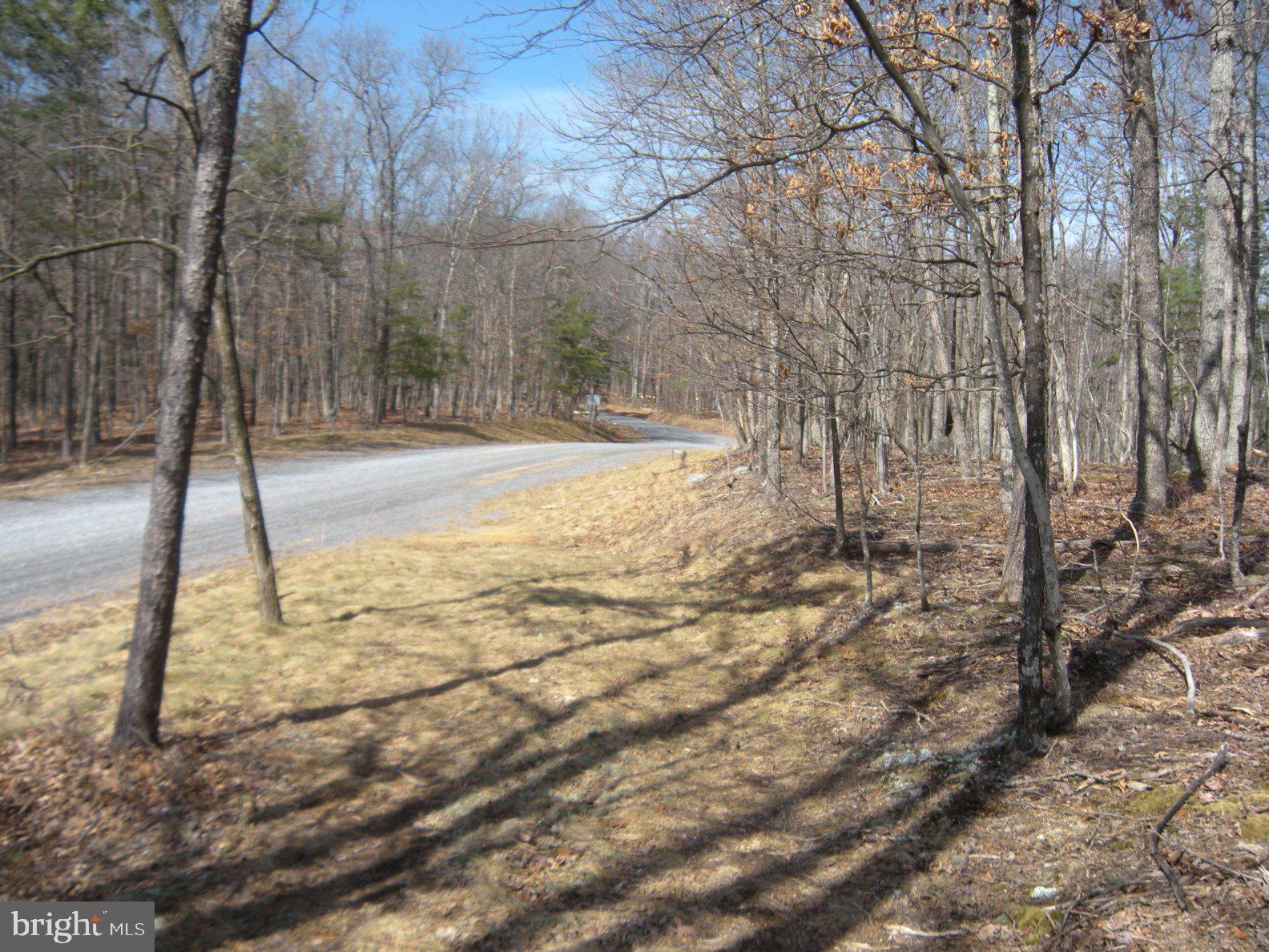 Lot # Knob Road Gore, VA 22637 - Photo 15 of 15