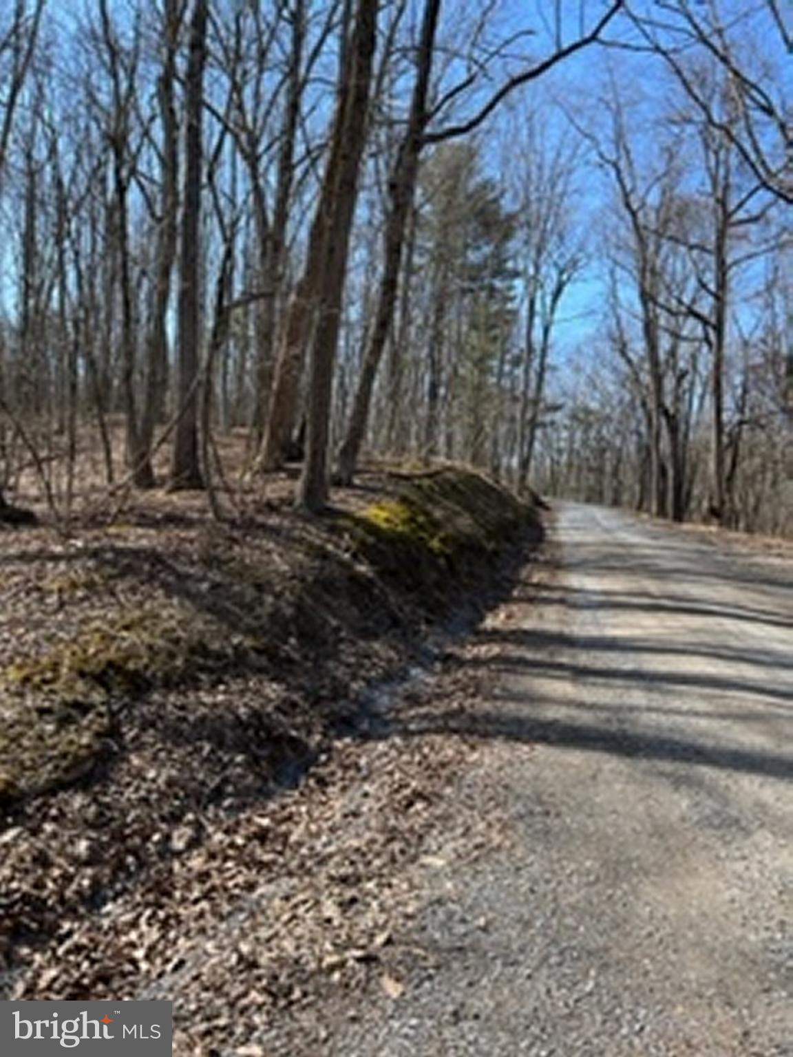 Lot # Knob Road Gore, VA 22637 - Photo 5 of 15