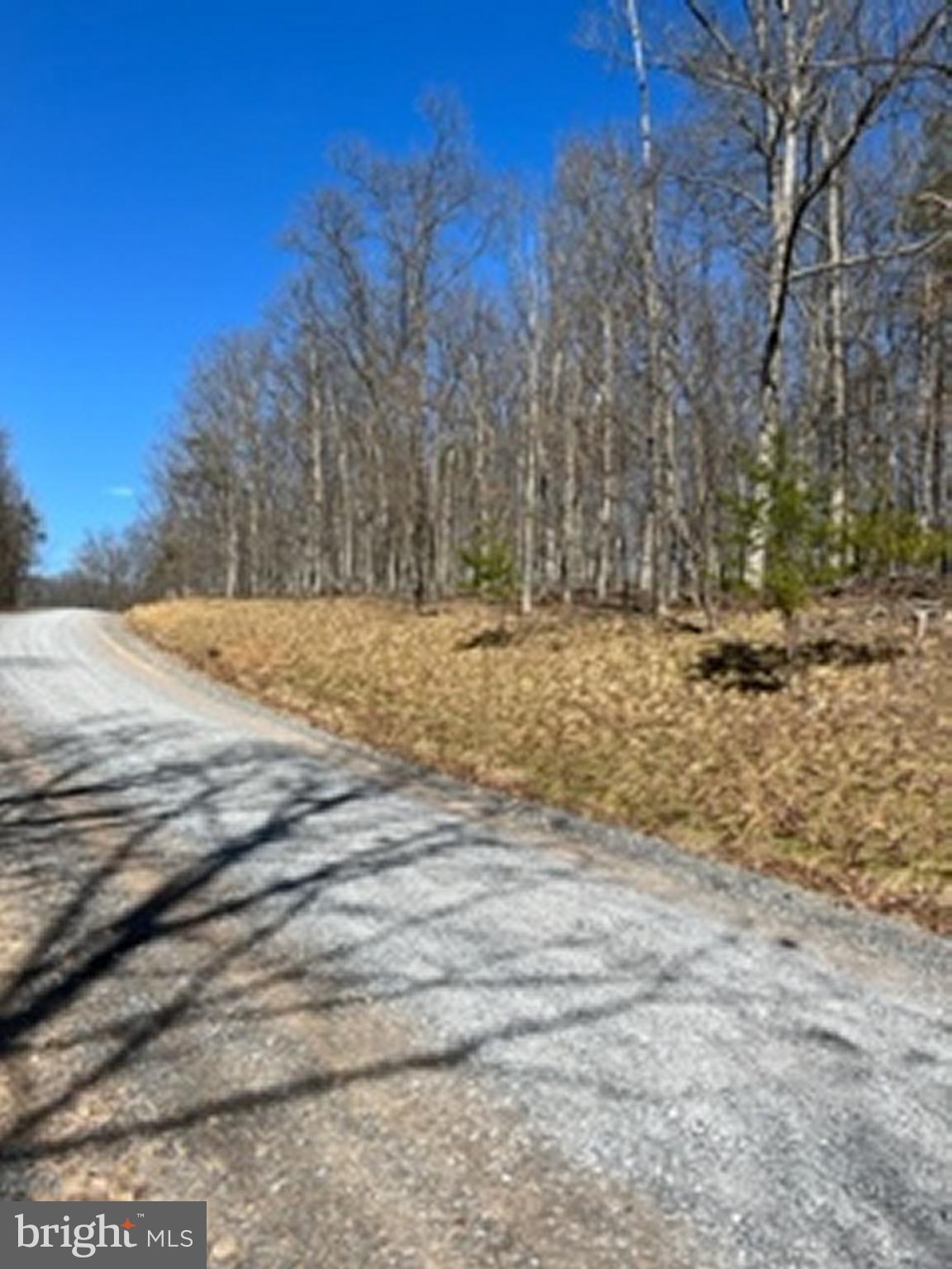 Lot # Knob Road Gore, VA 22637 - Photo 6 of 15