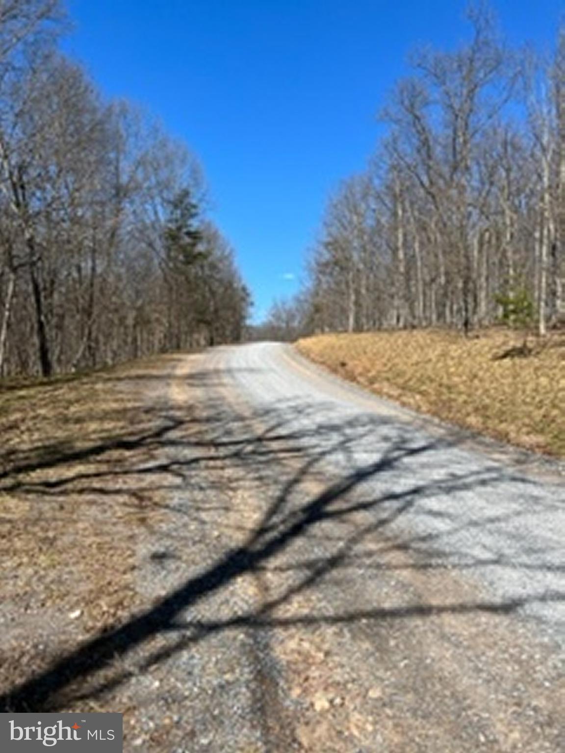 Lot # Knob Road Gore, VA 22637 - Photo 7 of 15