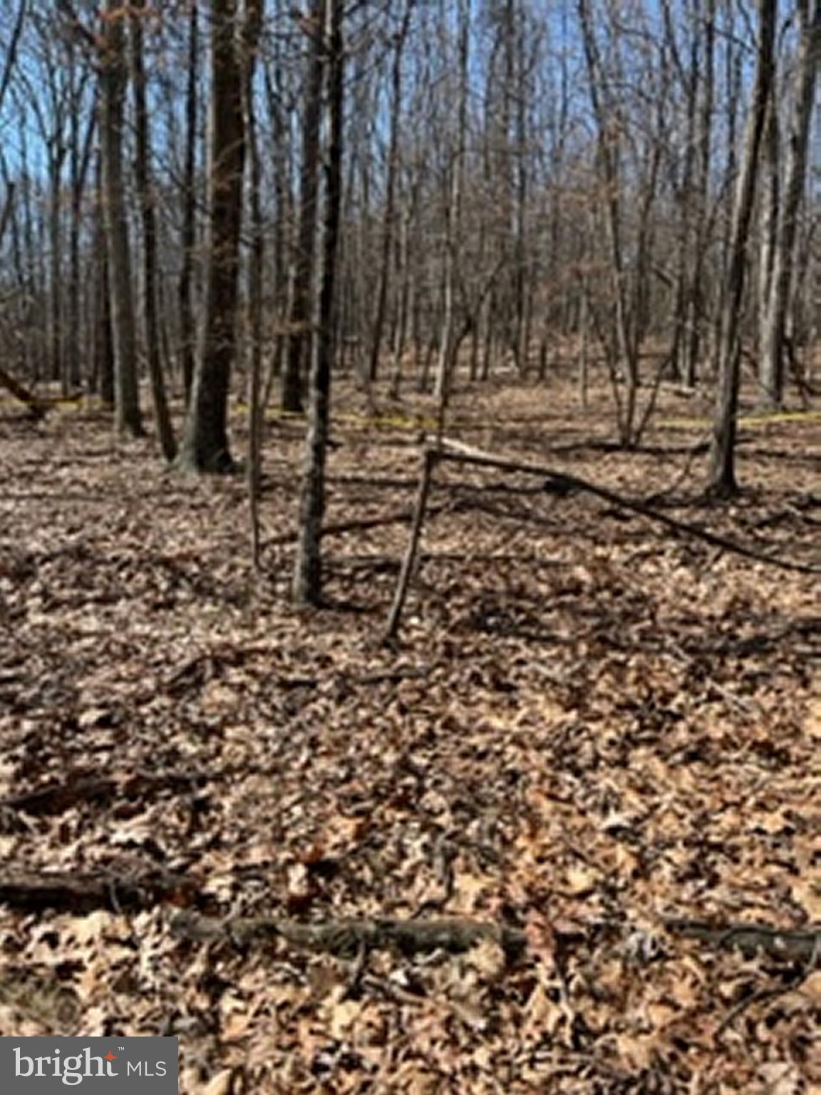 Lot # Knob Road Gore, VA 22637 - Photo 8 of 15
