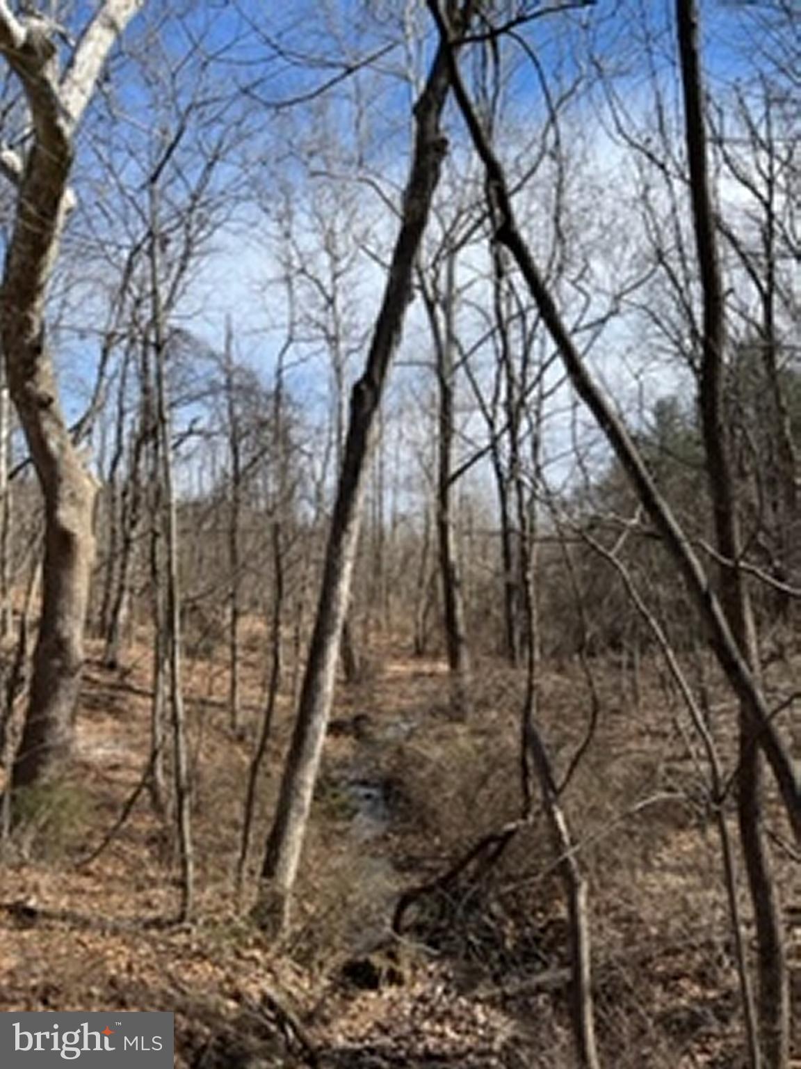 Lot # Knob Road Gore, VA 22637 - Photo 9 of 15