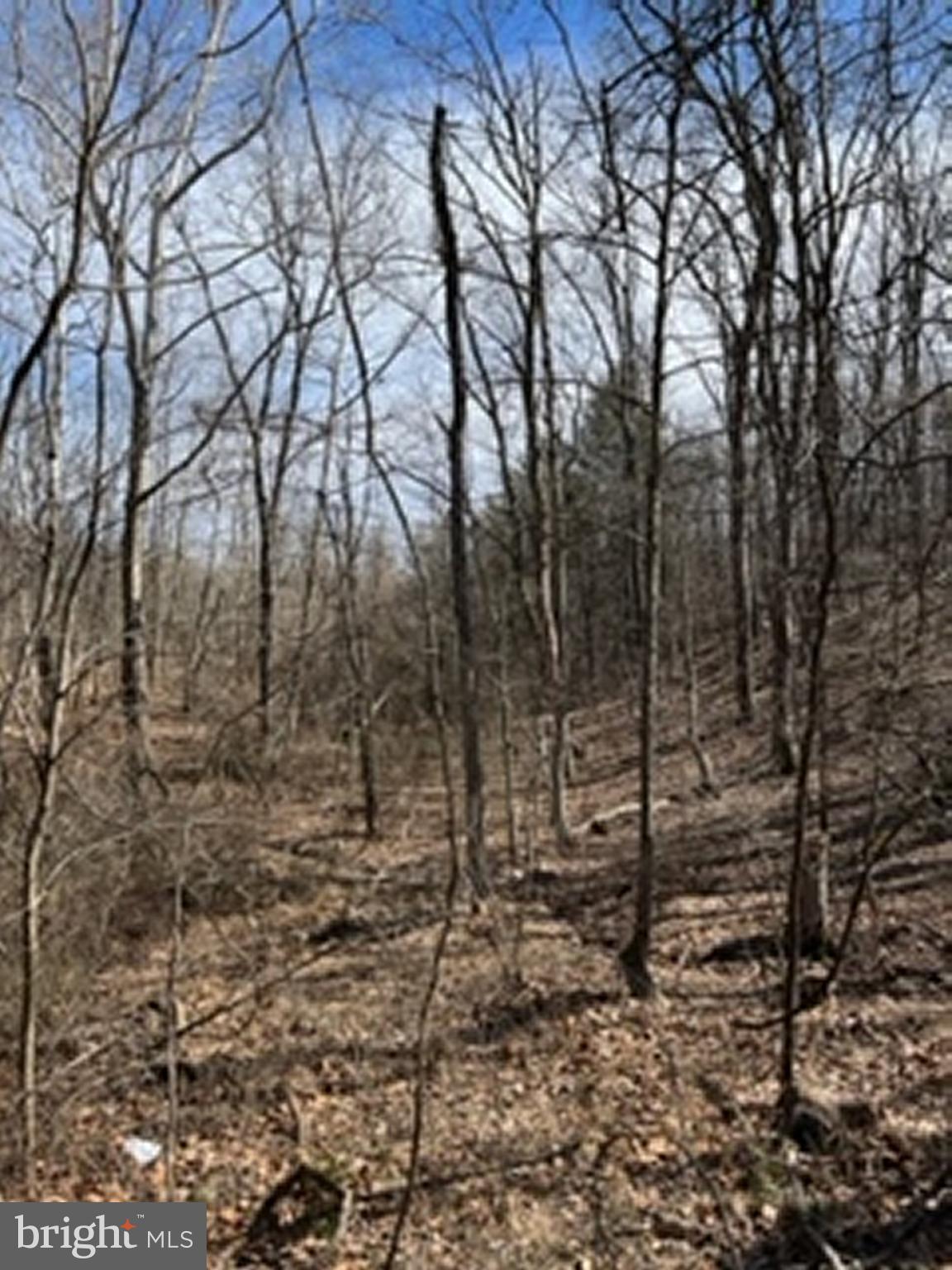 Lot # Knob Road Gore, VA 22637 - Photo 10 of 15