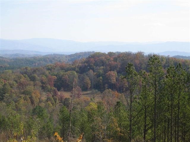 0 Citico Road Vonore, TN 37885 - Photo 12 of 16
