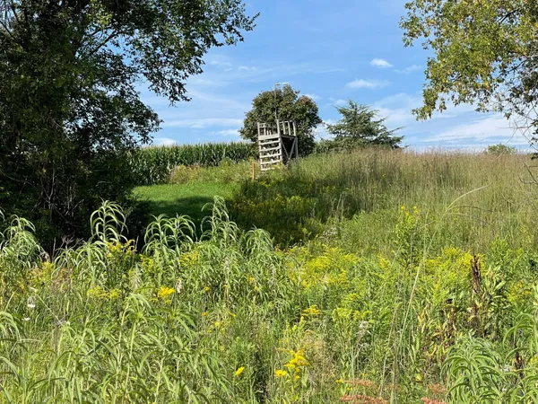 $1,050,000 | 8 Spring Grove, Mabel, MN 55954