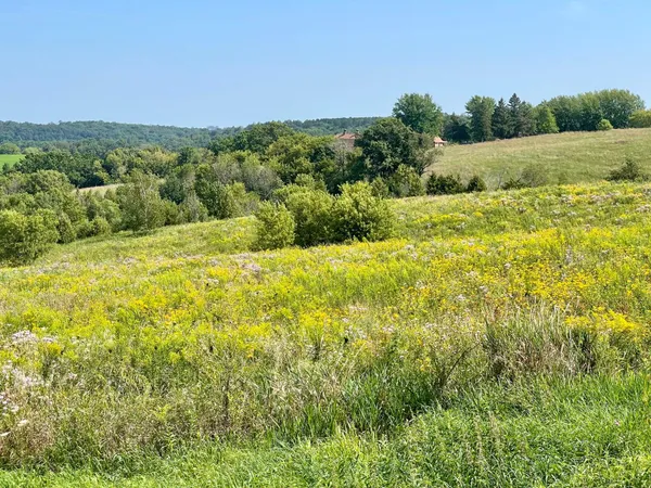$1,050,000 | 8 Spring Grove, Mabel, MN 55954