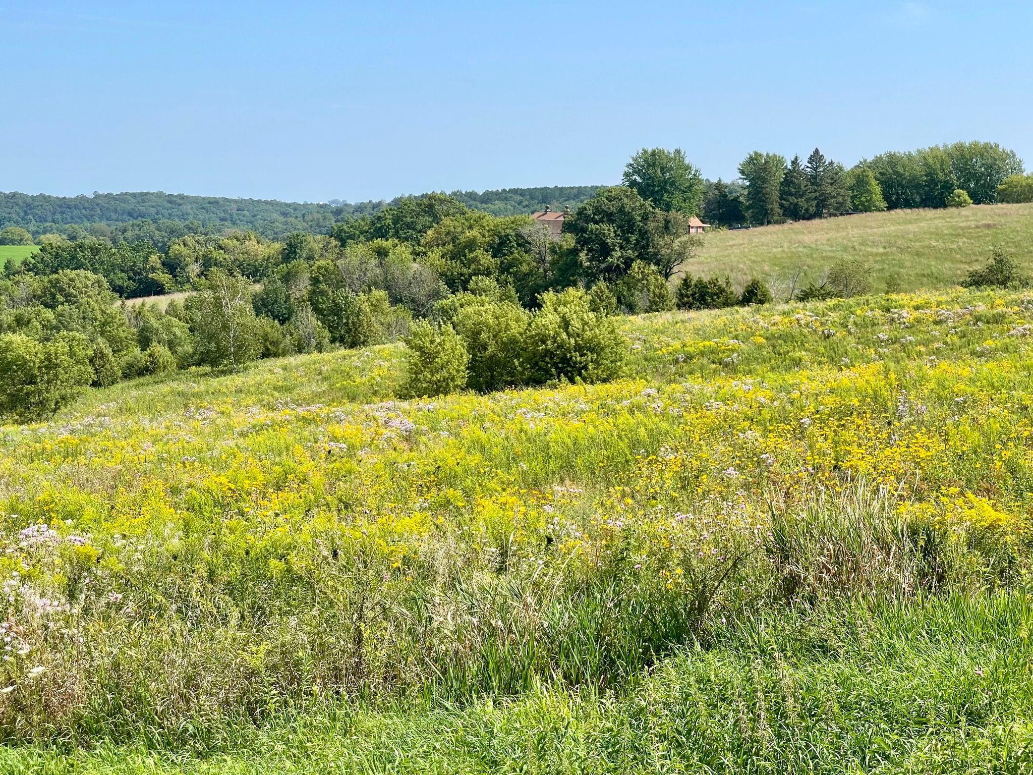 8 Spring Grove Mabel, MN 55954 - Photo 27 of 55