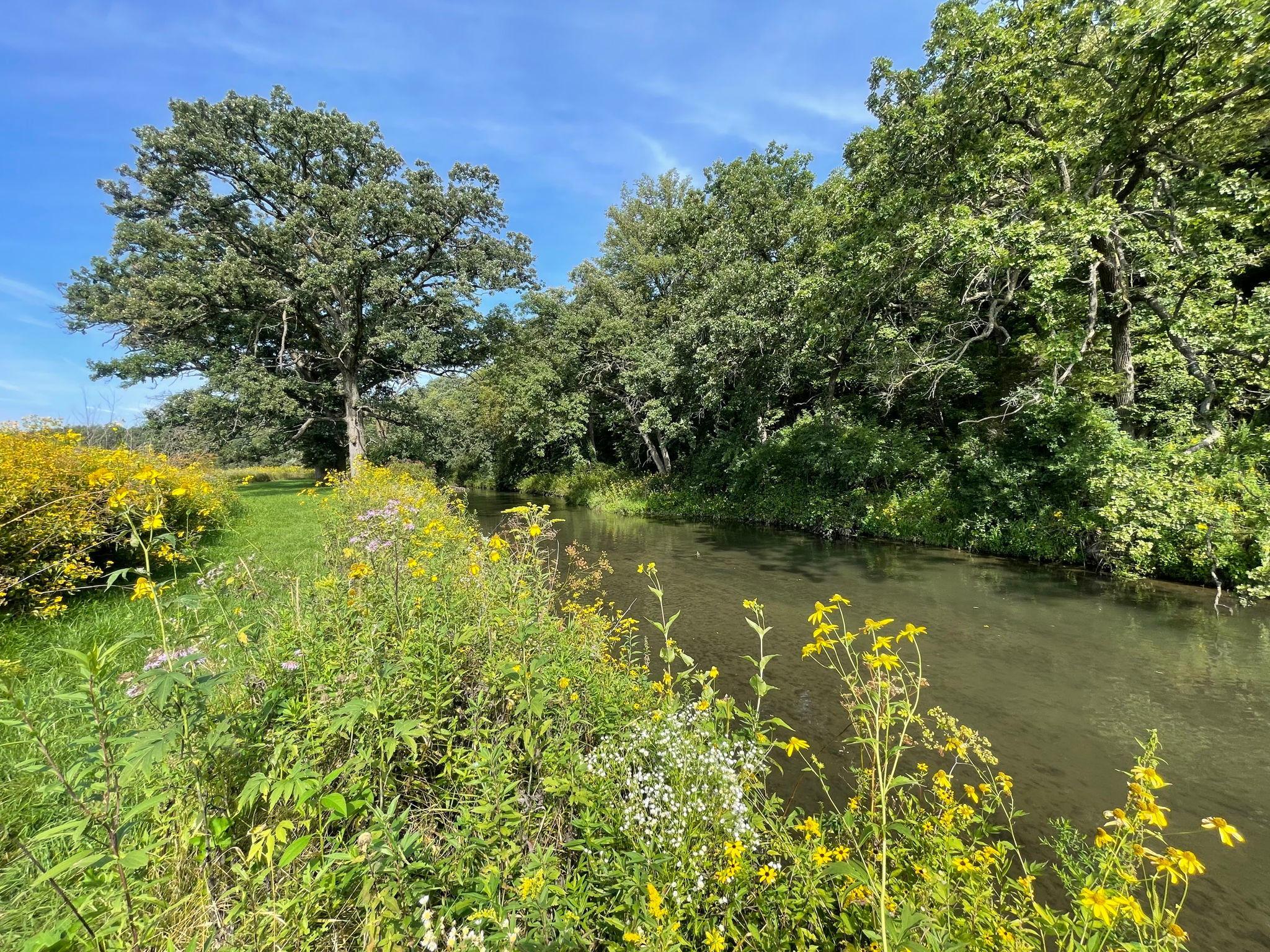 8 Spring Grove Mabel, MN 55954 - Photo 35 of 55