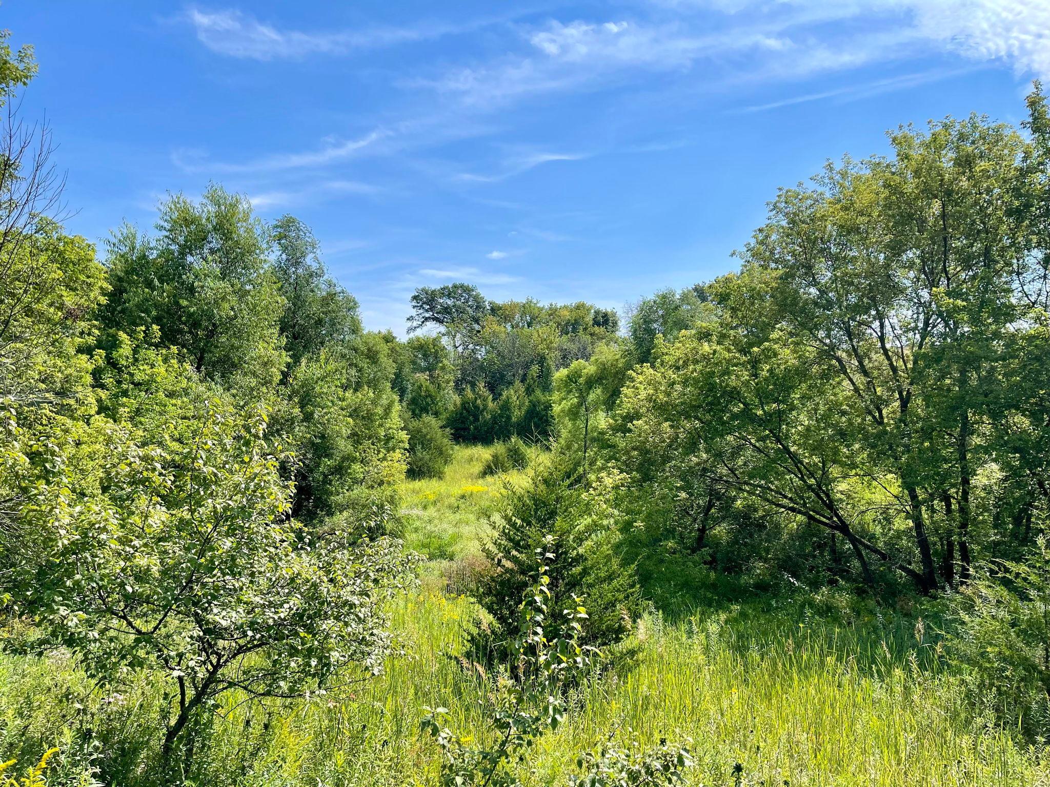 8 Spring Grove Mabel, MN 55954 - Photo 36 of 55