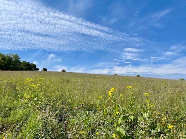 $1,050,000 | 8 Spring Grove, Mabel, MN 55954