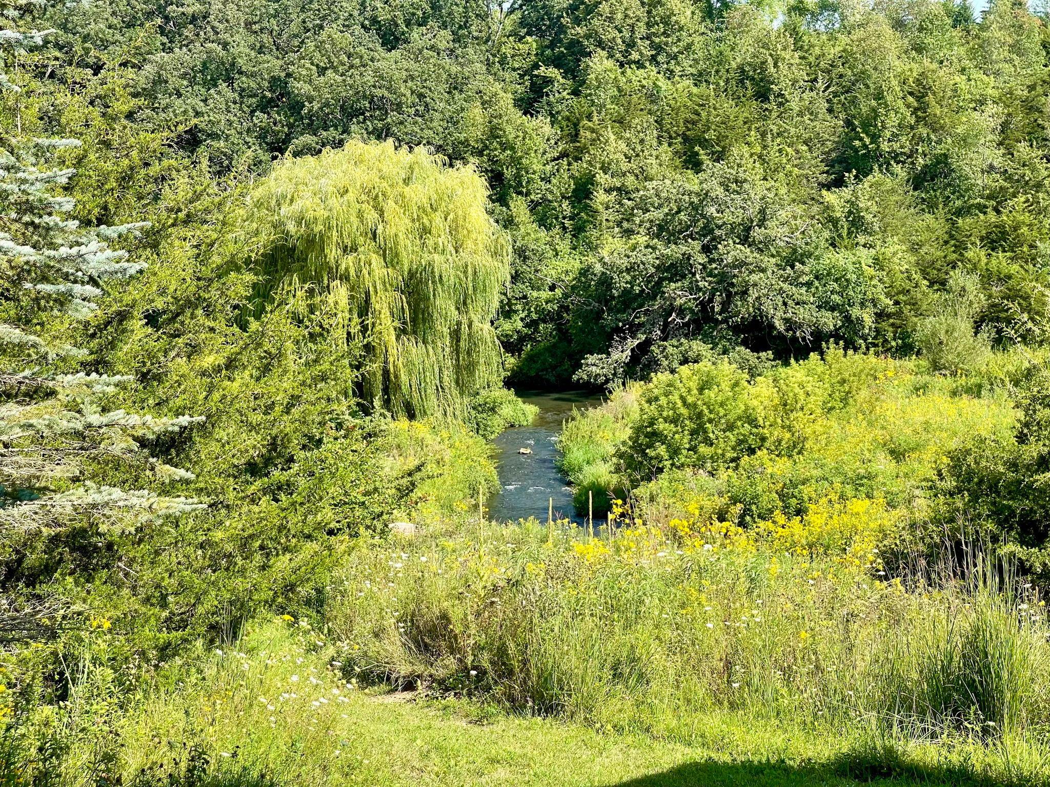 8 Spring Grove Mabel, MN 55954 - Photo 39 of 55