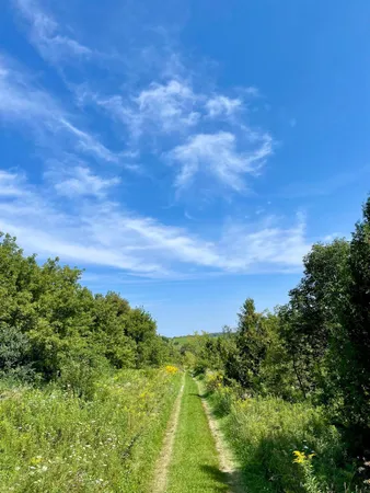 $1,050,000 | 8 Spring Grove, Mabel, MN 55954