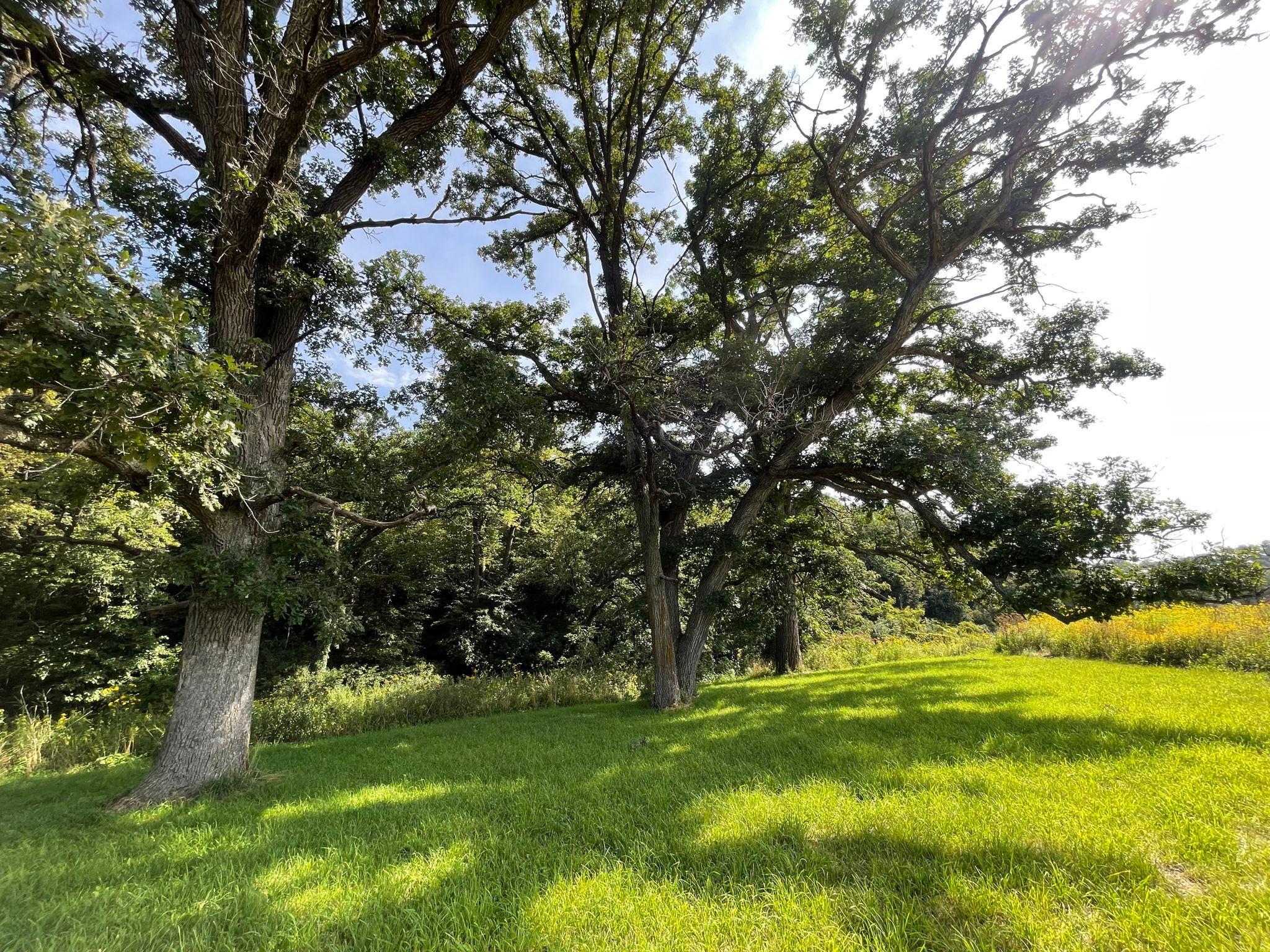 8 Spring Grove Mabel, MN 55954 - Photo 46 of 55