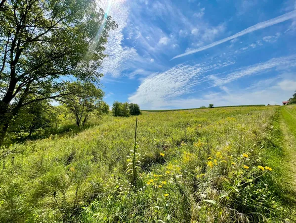 $1,050,000 | 8 Spring Grove, Mabel, MN 55954