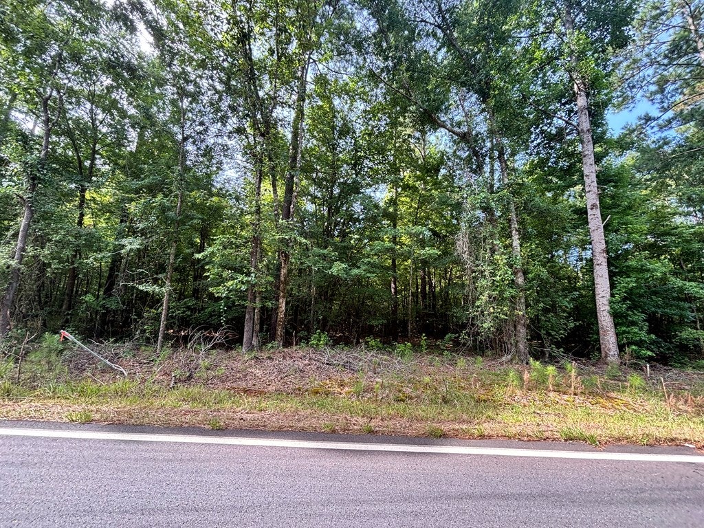 Lot 50 Burtom Road Eatonton, GA 31024 - Photo 11 of 17 Gallery Image 11