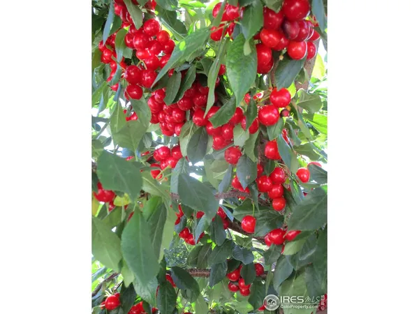 $500,000 | 800 Gateway Park Lane, Berthoud, CO 80513