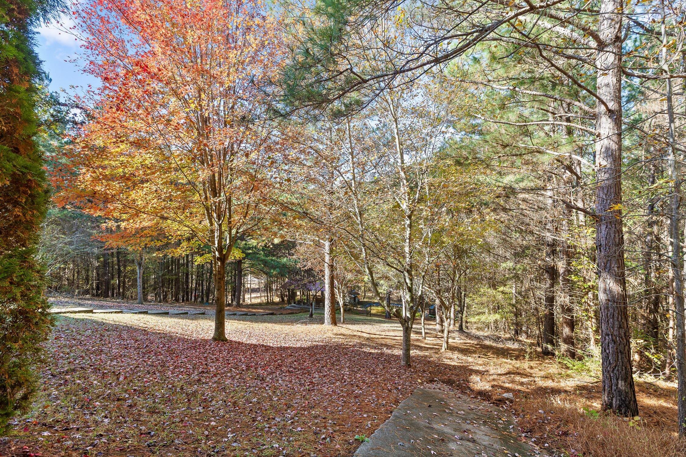 161-155 Cherokee Ridge Drive Ocoee, TN 37361 - Photo 49 of 72 17-Cherokee-17