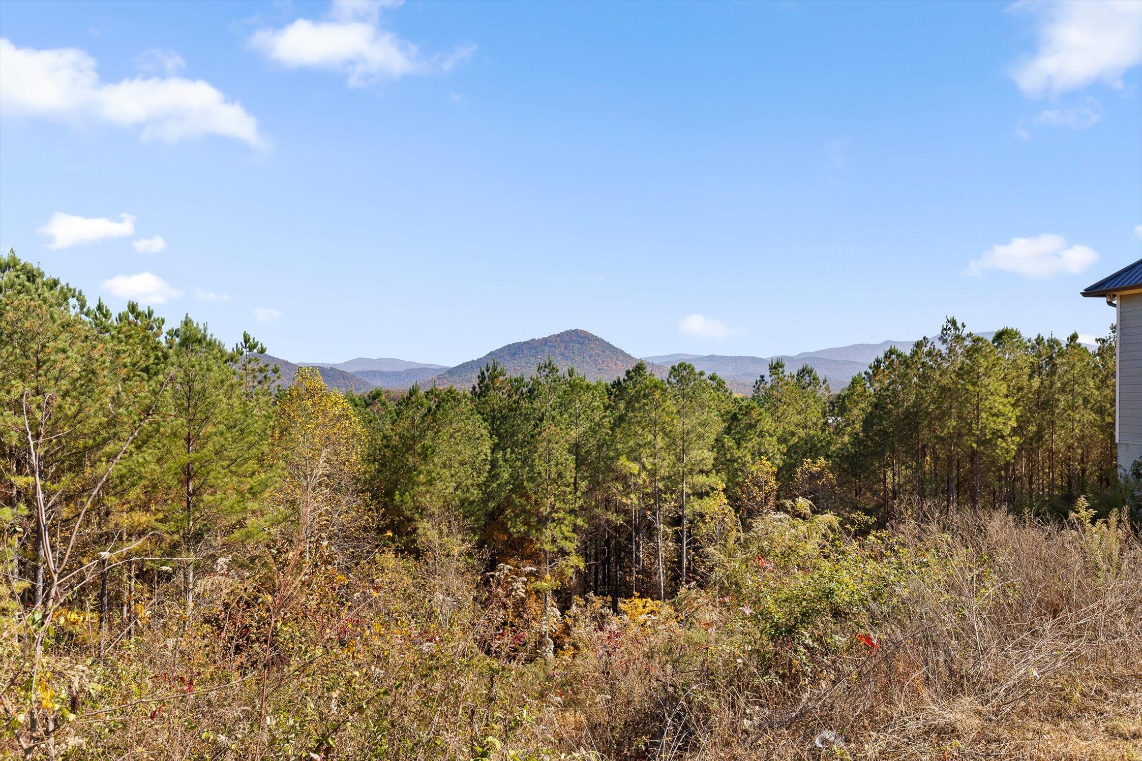 161-155 Cherokee Ridge Drive Ocoee, TN 37361 - Photo 59 of 72 62-Cherokee-4