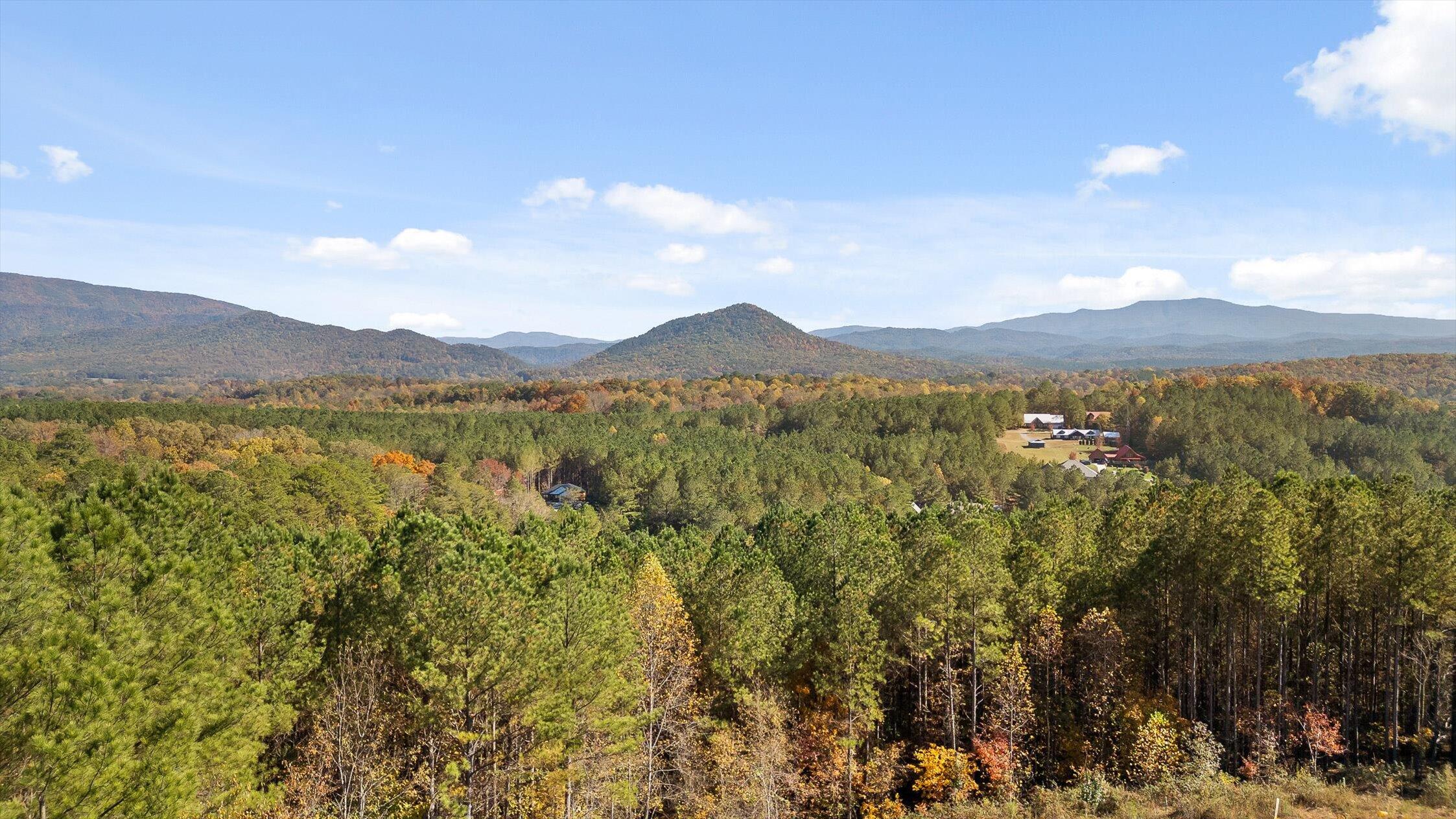 161-155 Cherokee Ridge Drive Ocoee, TN 37361 - Photo 65 of 72 68-Cherokee-10