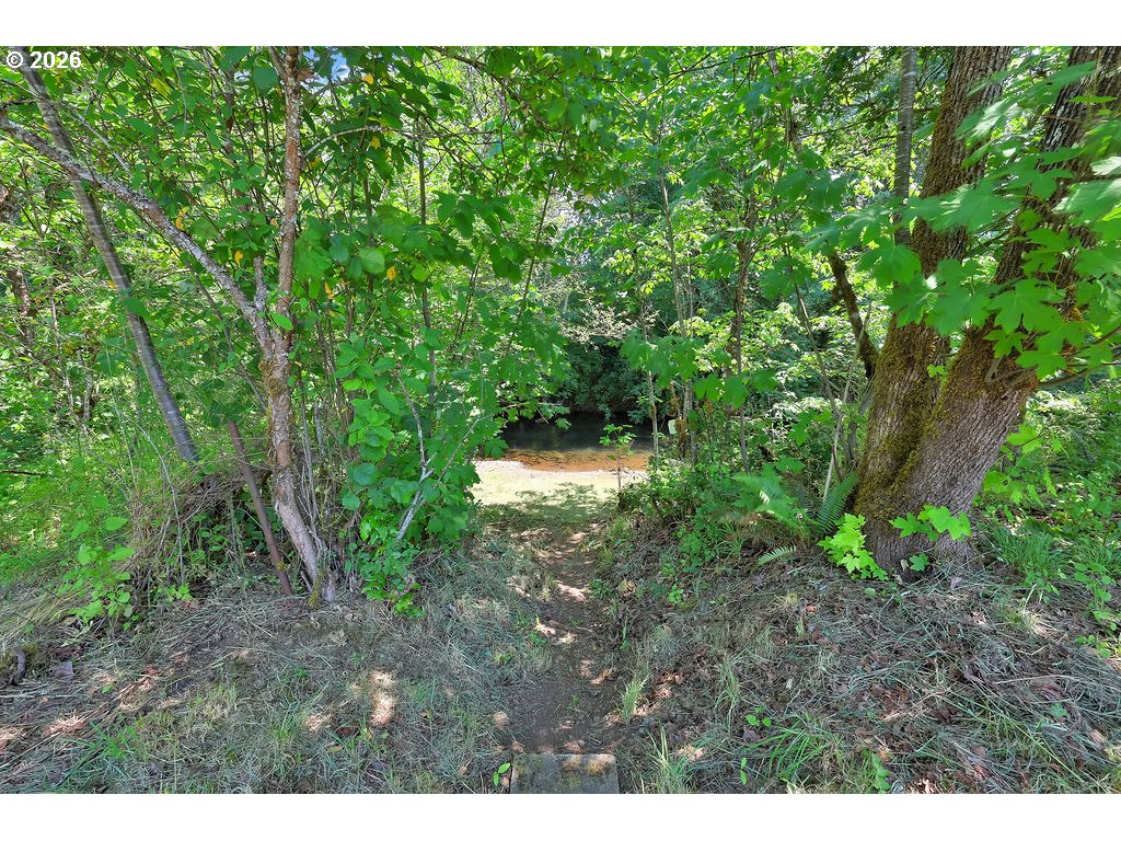 80845 Lost Creek Road Dexter, OR 97431 - Photo 27 of 33