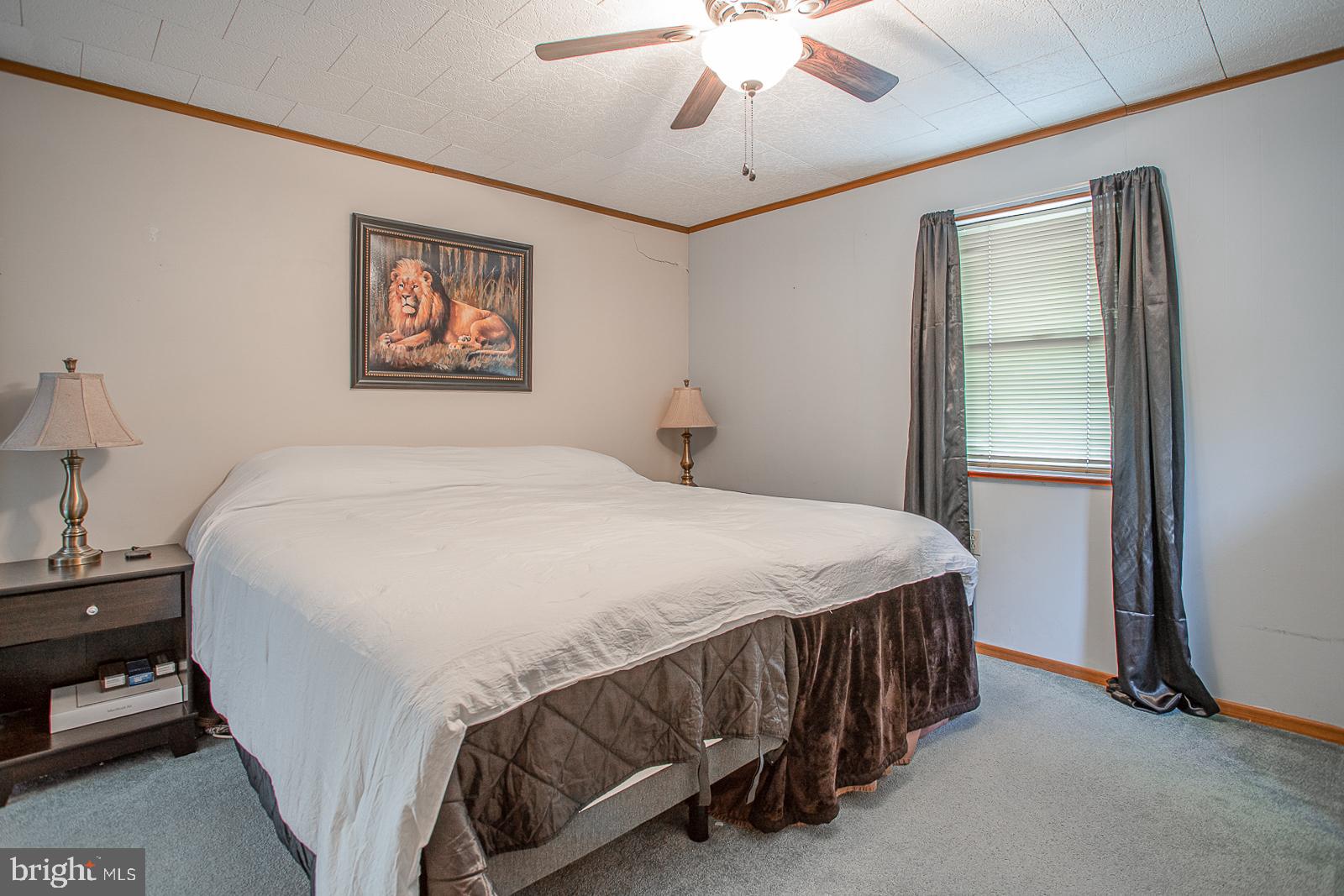 385 Zynn Road Downingtown, PA 19335 - Photo 30 of 38