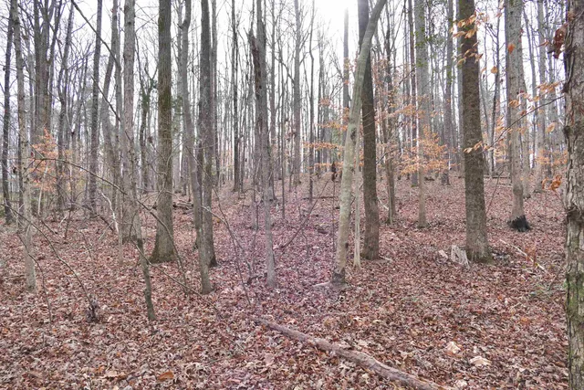 $35,000 | 208 Eastbrook Road, Gaffney, SC 29340