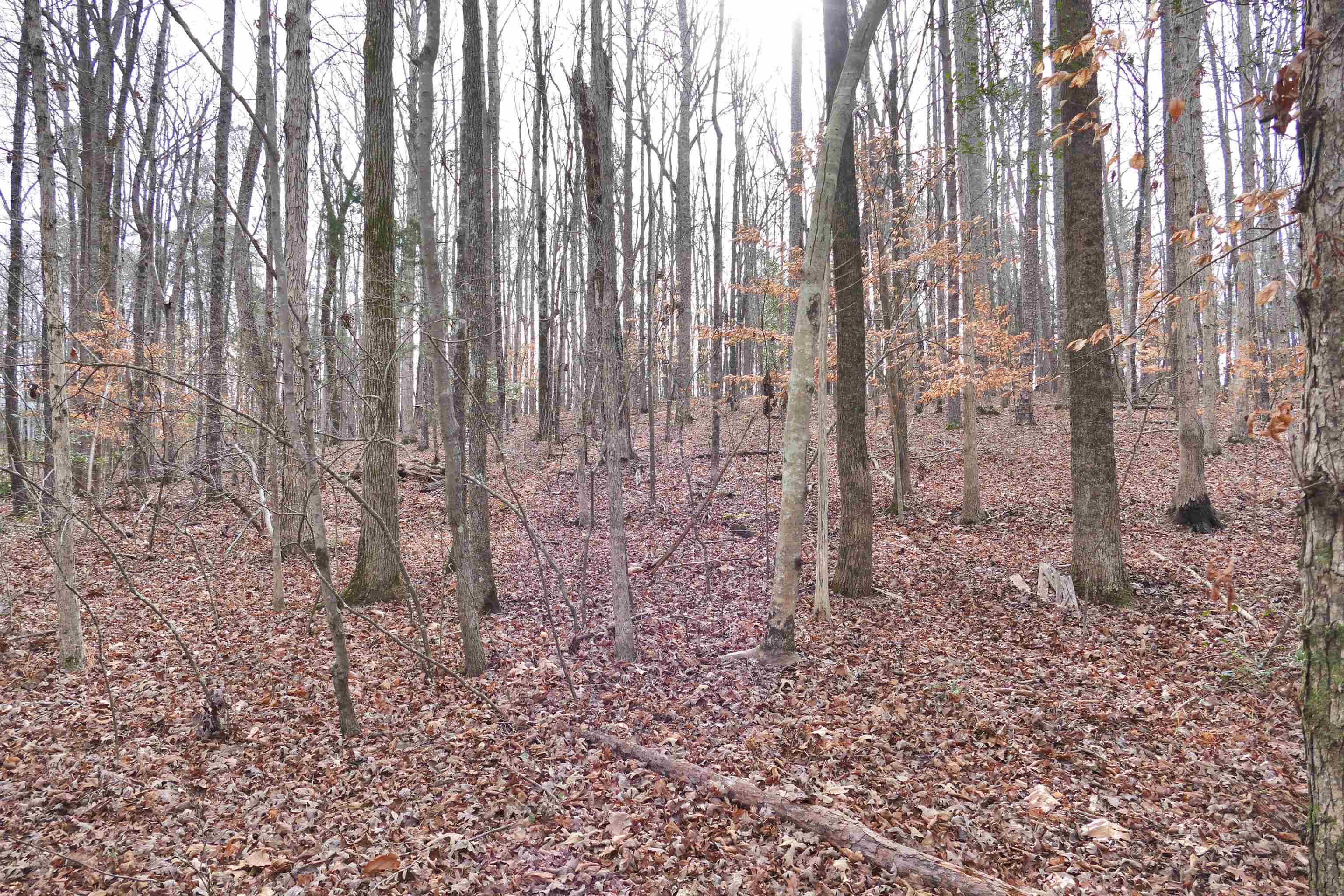 208 Eastbrook Road Gaffney, SC 29340 - Photo 5 of 6