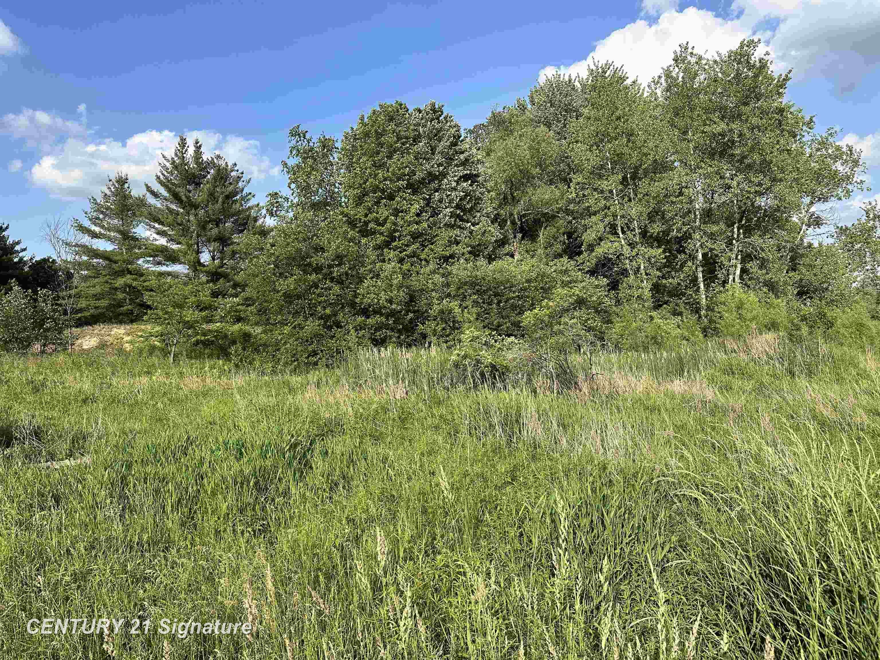 60 Estey Road Beaverton, MI 48612 - Photo 12 of 15