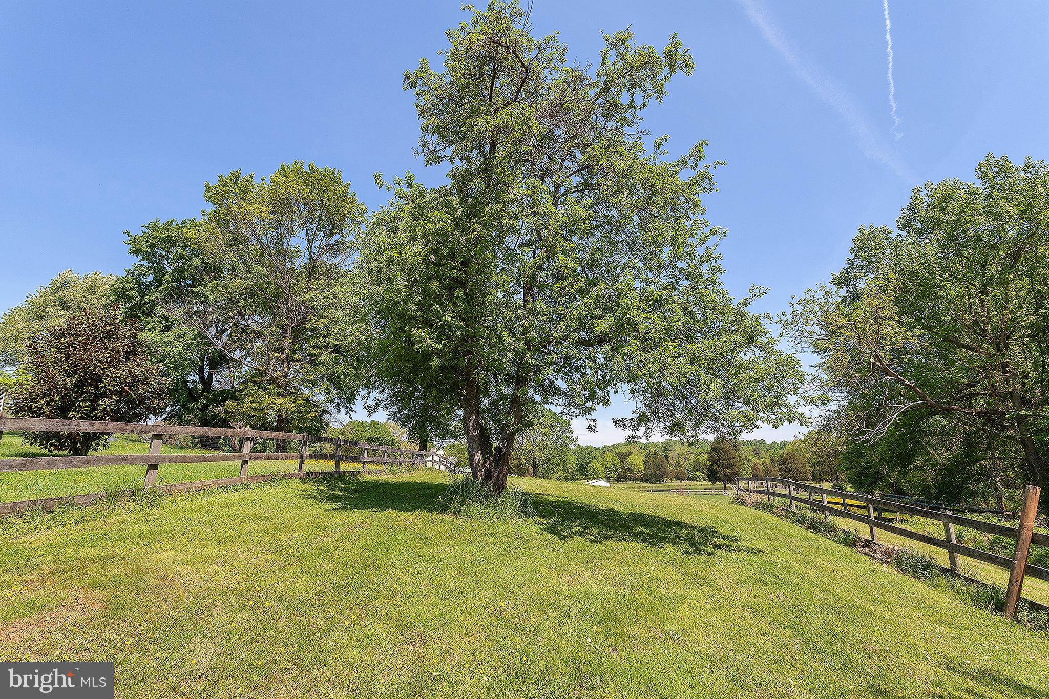 6189 Beverleys Mill Road Broad Run, VA 20137 - Photo 56 of 57 Gallery Image 56