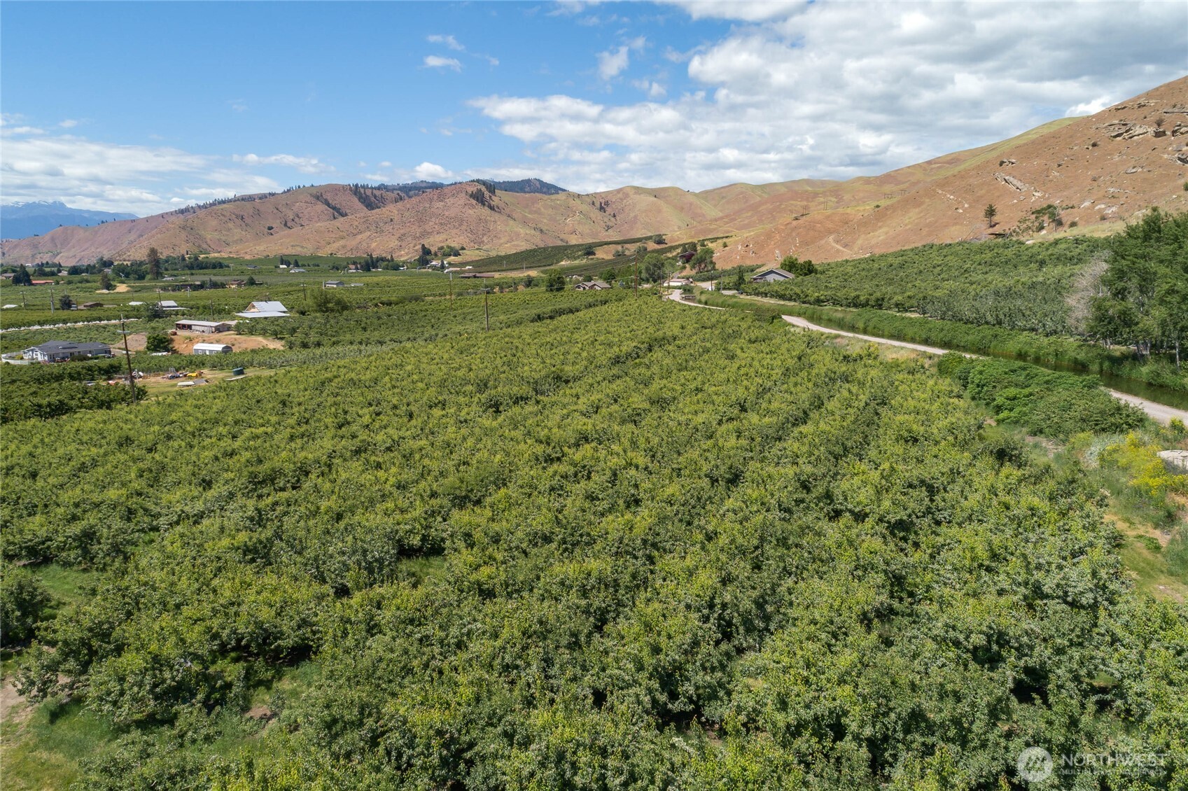 0 Red Apple Road Cashmere, WA 98815 - Photo 9 of 38 a view of a lush green hillside and a houses