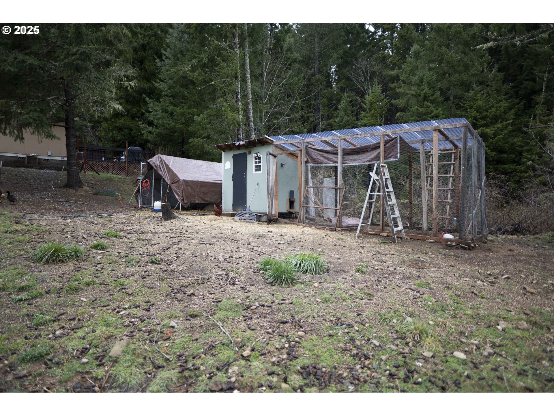6228 Upper Cow Creek Road Azalea, OR 97410 - Photo 30 of 47 a view of a wooden house with a yard