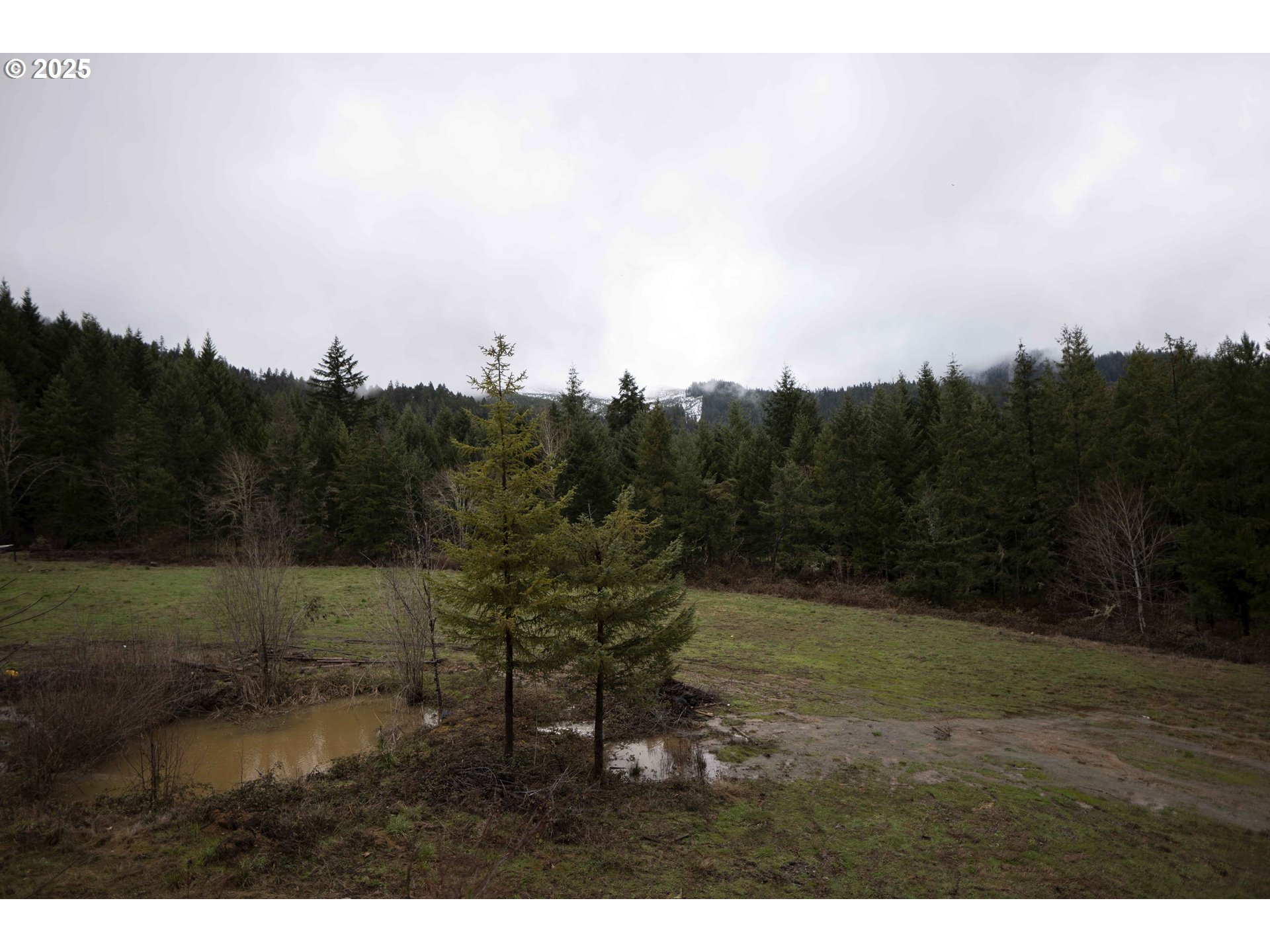 6228 Upper Cow Creek Road Azalea, OR 97410 - Photo 40 of 47 a view of outdoor space and yard