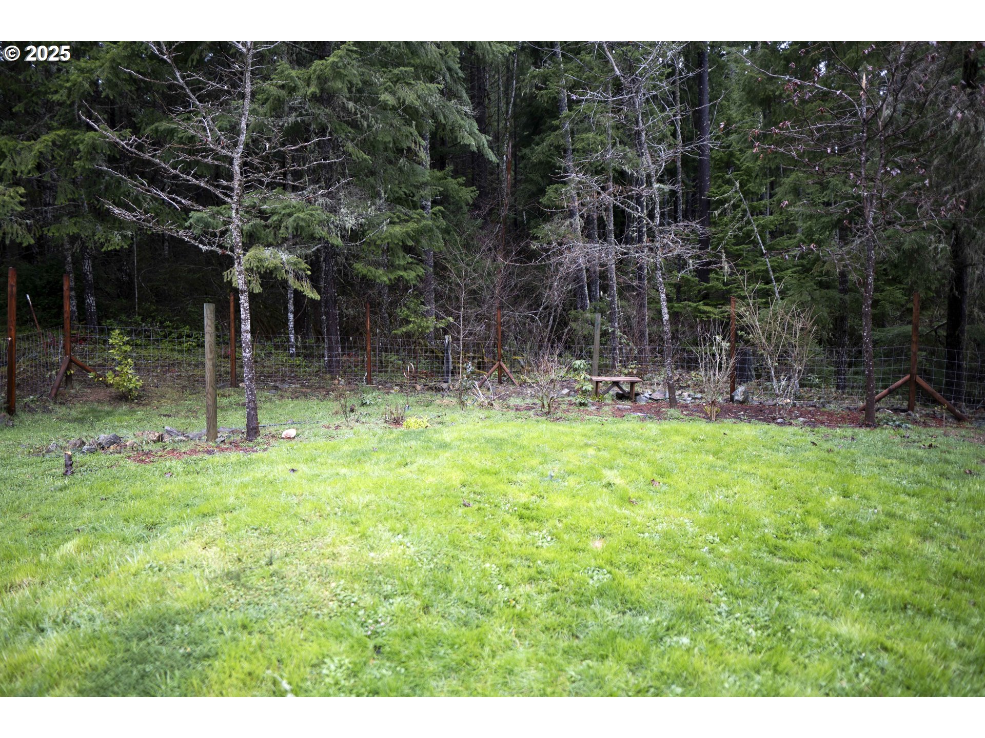 6228 Upper Cow Creek Road Azalea, OR 97410 - Photo 42 of 47 a backyard of a house with plants and tree
