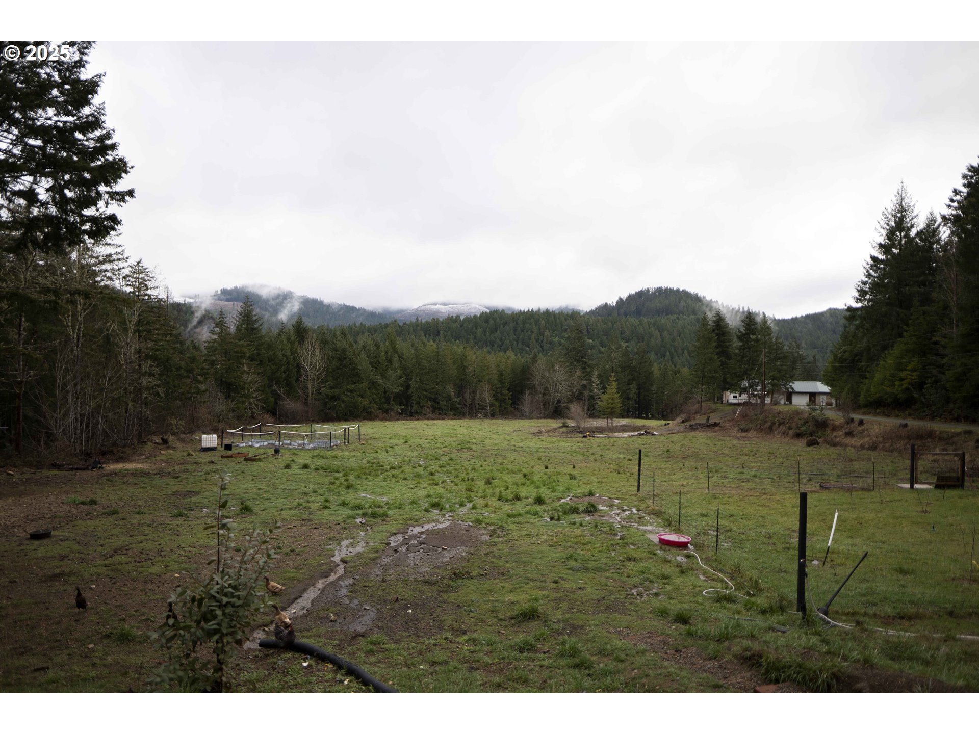 6228 Upper Cow Creek Road Azalea, OR 97410 - Photo 44 of 47 a view of an outdoor space and a yard