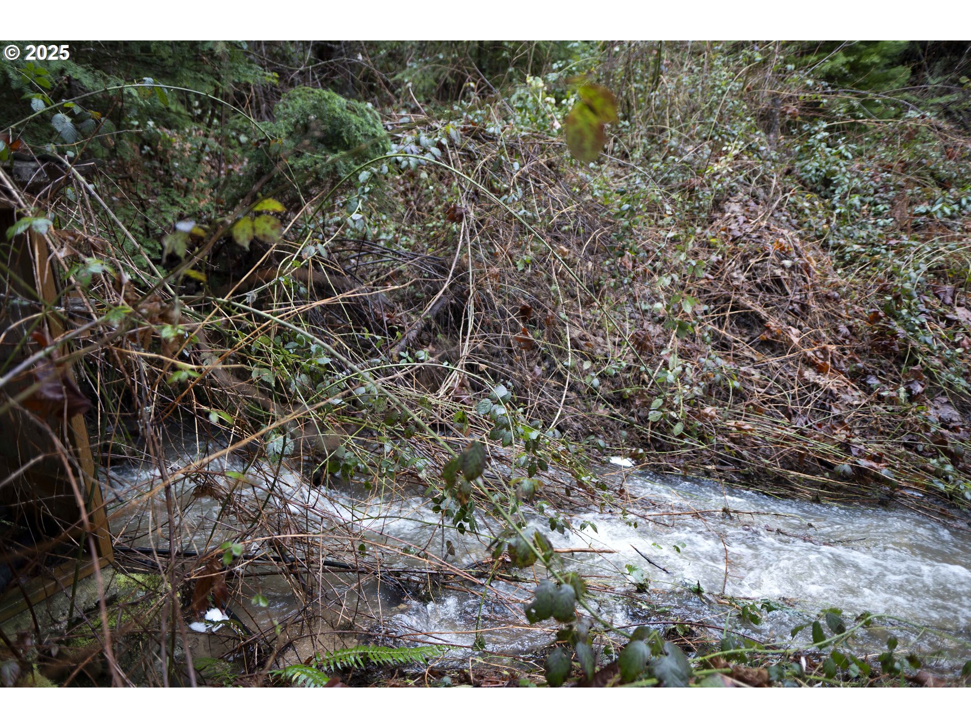 6228 Upper Cow Creek Road Azalea, OR 97410 - Photo 46 of 47 a view of outdoor space and tree