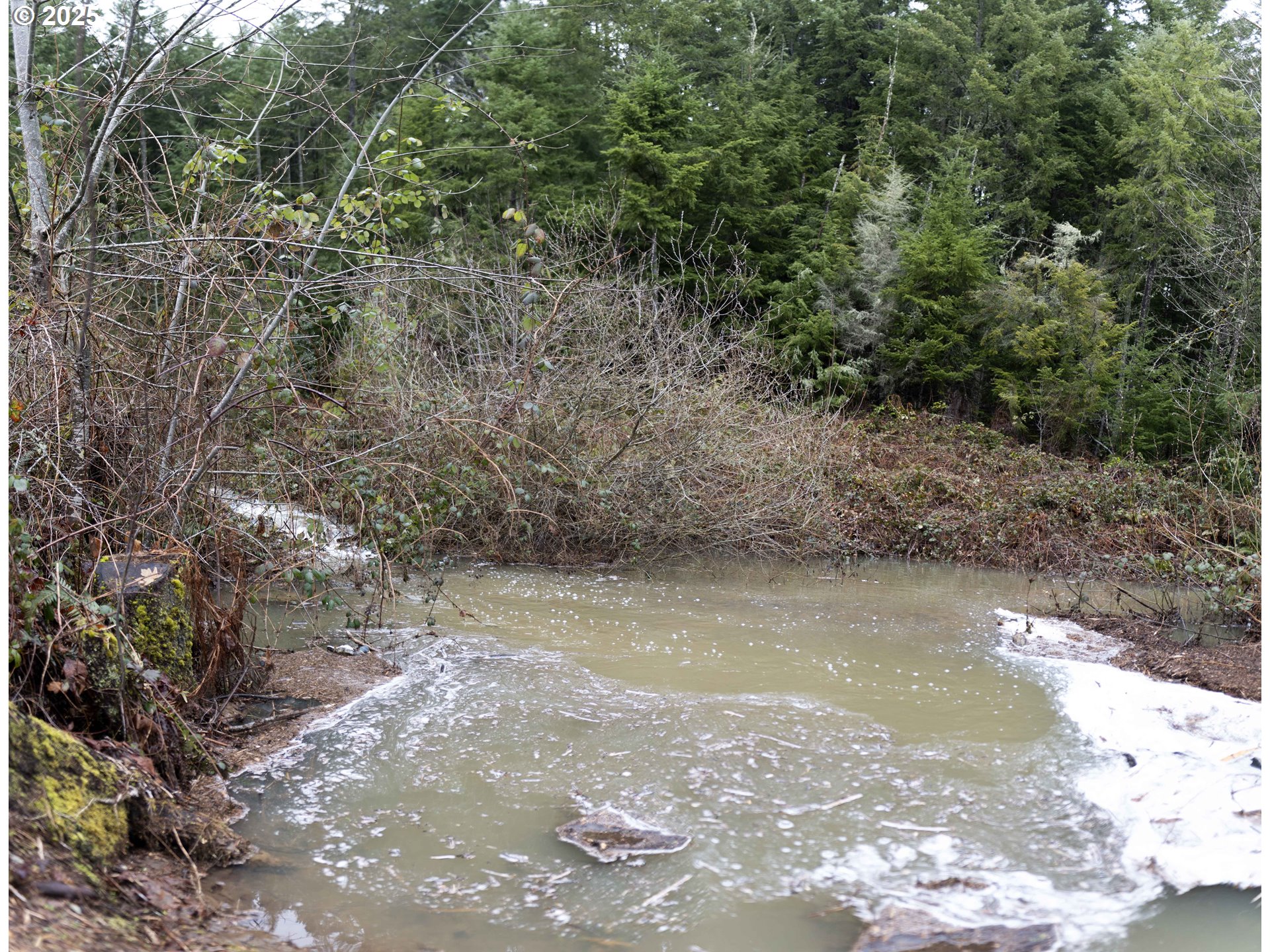 6228 Upper Cow Creek Road Azalea, OR 97410 - Photo 47 of 47 a view of a lake from a yard