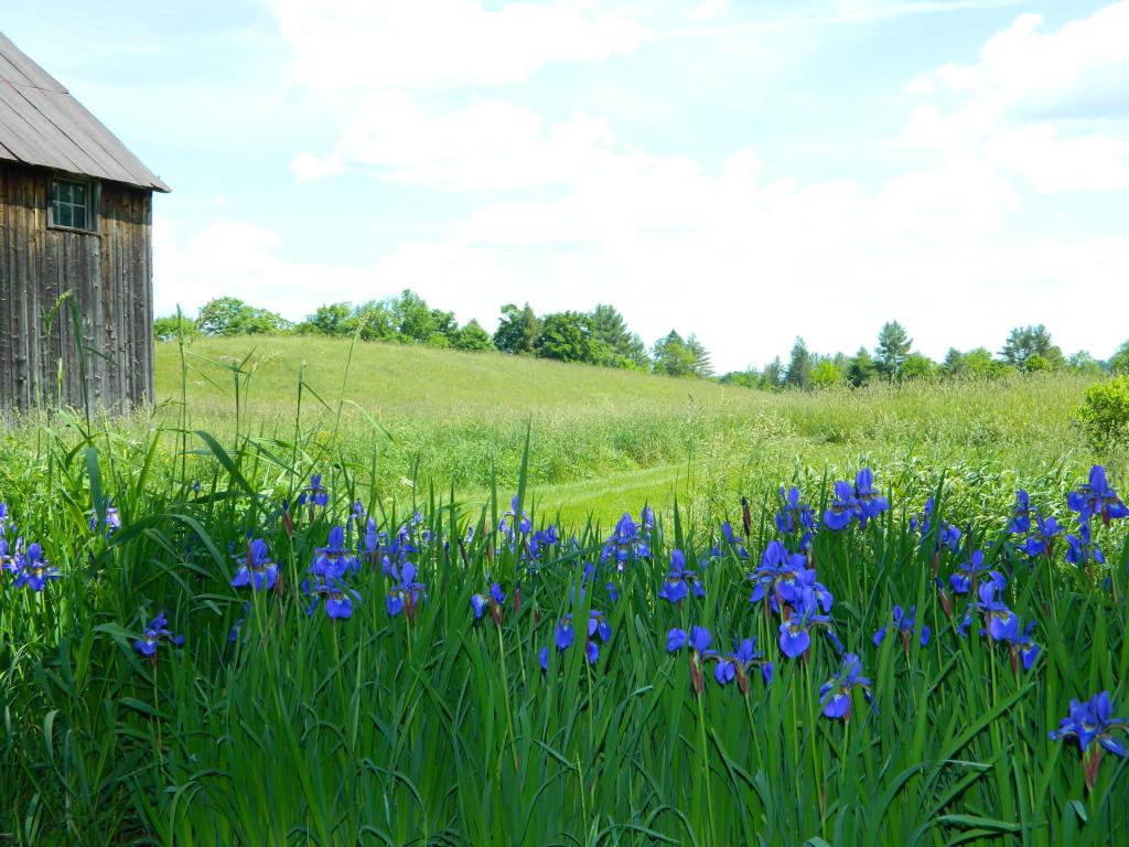 777 Heath Road Lyndon, VT 05851 - Photo 1 of 36 Gallery Image 1