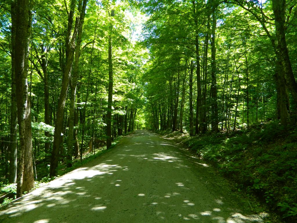 777 Heath Road Lyndon, VT 05851 - Photo 8 of 36 Gallery Image 8